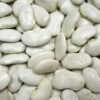 Broad Bean