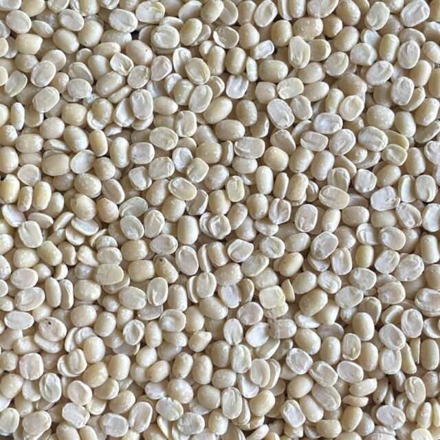 Premium Quality White Urad Dal/black gram split skimmed by Siddha Agro Industry