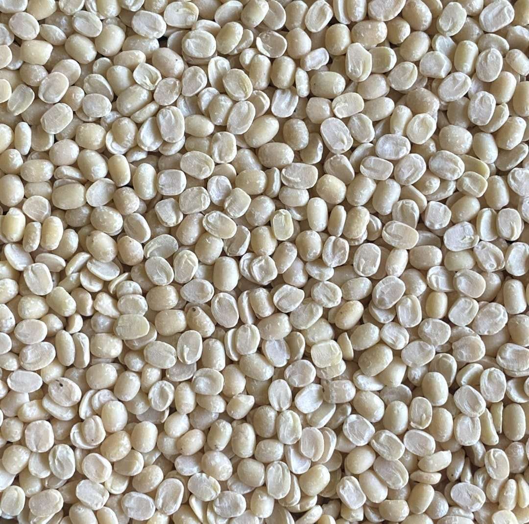 Premium Quality White Urad Dal/black gram split skimmed by Siddha Agro Industry