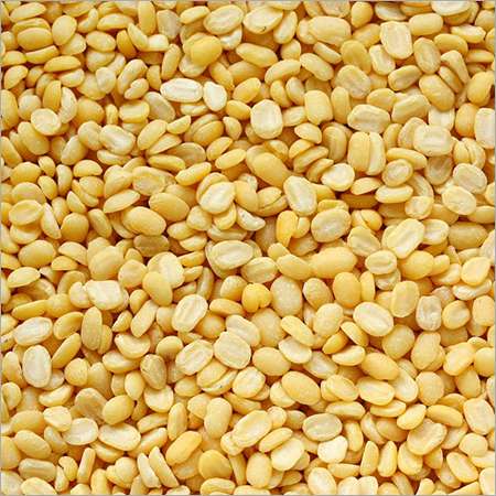 Premium Quality Moong Mogar Daal By Siddha Agro