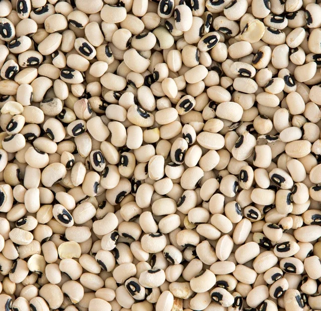 Premium Quality Black Eyed peas by Siddha Agro Industry