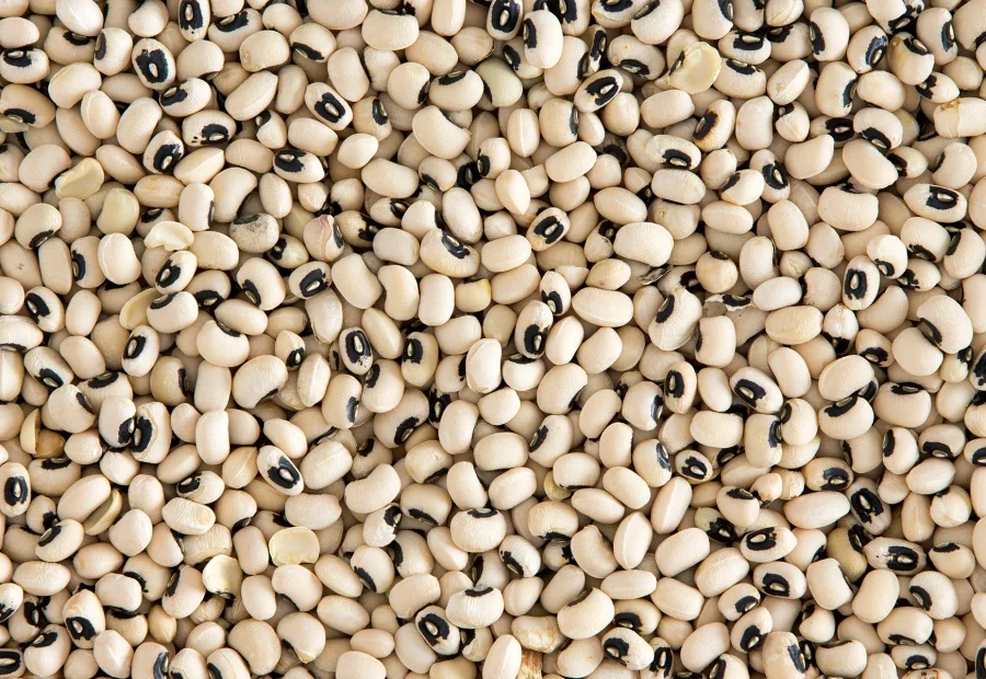 Premium Quality Black Eyed peas by Siddha Agro Industry