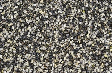 black gram split