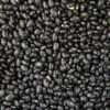 Black Matpe Beans Whole