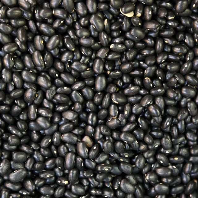 Premium Quality Chickpeas by Siddha Agro Industry