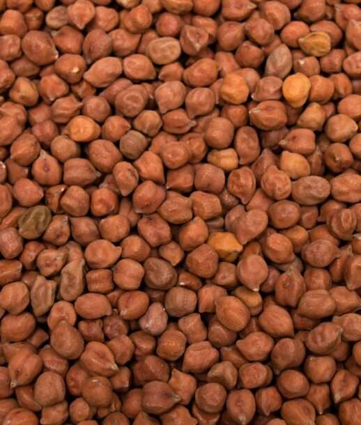 Premium Quality Brown Chickpeas by Siddha Agro Industry