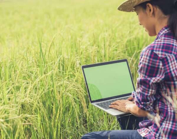 A Girl Sitting In pulses Field And looking In her Laptop for Online Shopping