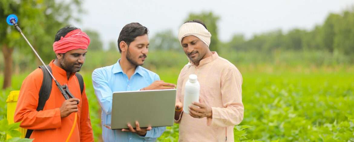 Farmers harvesting pulses and lentils - promoting fair trade practices and sustainability in agriculture.
