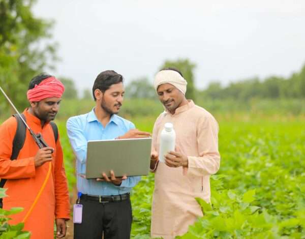 Farmers harvesting pulses and lentils - promoting fair trade practices and sustainability in agriculture.