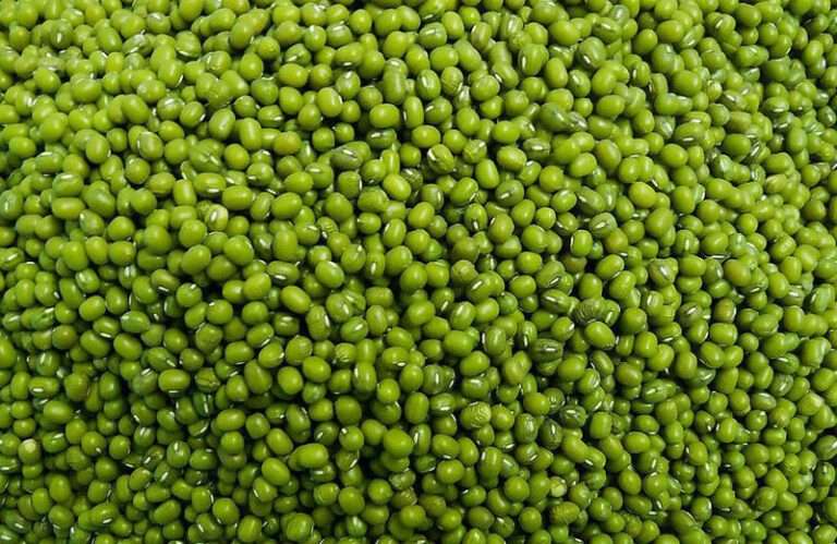 green gram whole