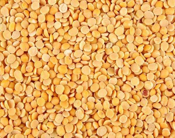 Premium Quality Pigeon peas Split/Toor Dal by Siddha Agro Industry