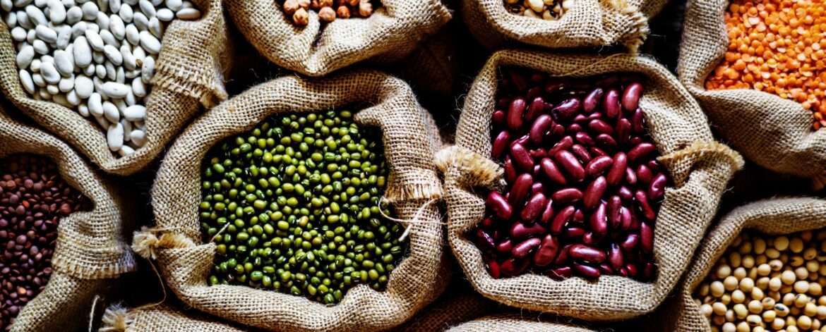 Premium quality pulses and lentils supplier - Siddha Agro Industry offers a diverse range of nutritious and wholesome products.
