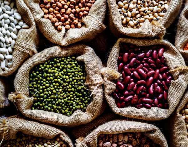 Premium quality pulses and lentils supplier - Siddha Agro Industry offers a diverse range of nutritious and wholesome products.