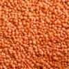 Red Lentils