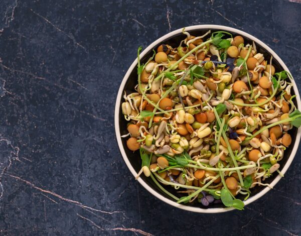 Sprouted lentils made using premium quality siddha agro lentils - a nutritious and delicious addition to any diet.