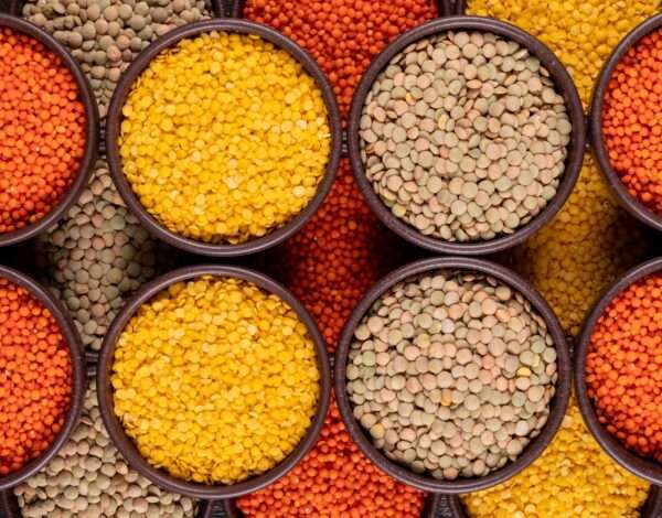 Assorted pulses and lentils in containers, representing the top 10 pulses and lentils stocked in your store for 2024.