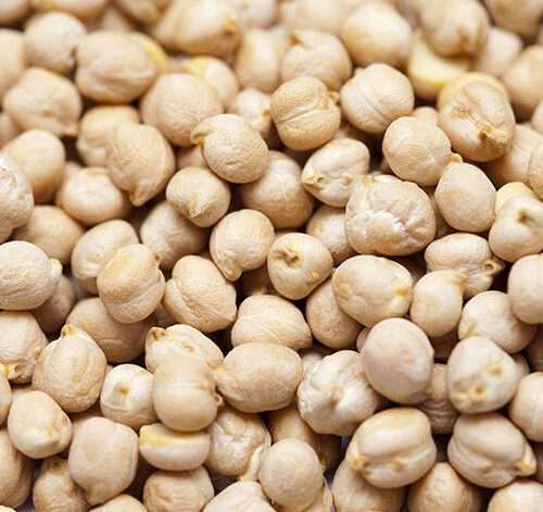 Premium Quality Chickpeas by Siddha Agro Industry