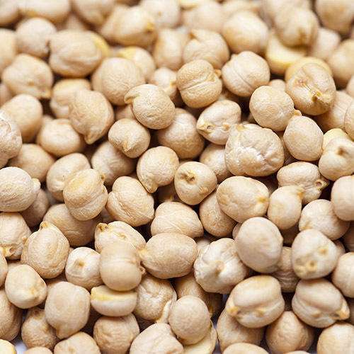 Premium Quality Chickpeas by Siddha Agro Industry