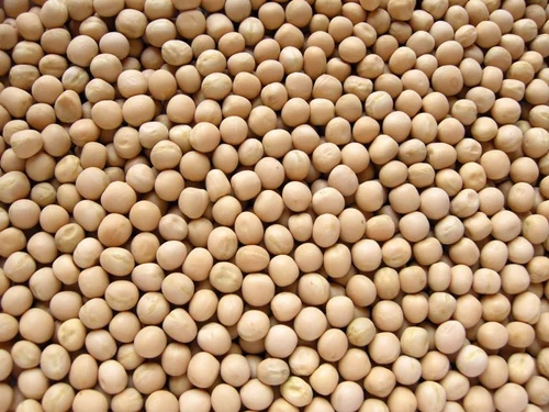 Premium Quality White Peas/Safed Matar by Siddha Agro Industry